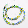 Natural Fire Crackle Agate Bead Strands X-G-K166-06F-10mm-08-2