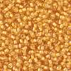 TOHO 8/0 Round Beads X-SEED-TR08-0949-2