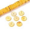 Natural Freshwater Shell Beads Strands SHEL-N037-03A-06-1