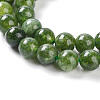 Dyed Natural Malaysia Jade Beads Strands G-G021-02C-13-4
