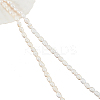  2 Strands 2 Styles Natural Cultured Freshwater Pearl Beads Strands PEAR-NB0002-07-7