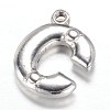 Tarnish Resistant 201 Stainless Steel Charms STAS-G081-25P-2