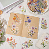 6 Sets 6 Styles PET Transparent Laser Stickers Set DIY-SP0006-21-4