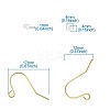 Iron Earring Hooks IFIN-TA0001-21-9
