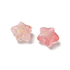 Frosted Acrylic Charms OACR-M023-04H-2