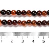 Natural Carnelian Beads Strands G-B079-A03-01-5