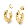 Ion Plating(IP) 304 Stainless Steel Stud Earrings for Women STAS-D084-24G-1