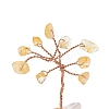 Natural Citrine Chips Tree of Life Decorations DJEW-P022-02A-01-2