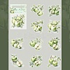 10Pcs Fruit PET Self-Adhesive Stickers DIY-K074-08E-1
