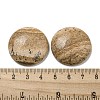 Natural Picture Jasper Cabochons G-C115-02B-22-3