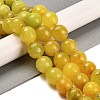 Natural Agate Beads Strands G-L595-A01-01G-1