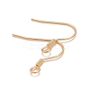 304 Stainless Steel Earrings Hooks X-STAS-P227-06G-2