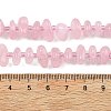 Natural Rose Quartz Beads Strands G-F821-B02-01-5