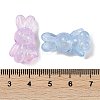 Luminous Transparent Acrylic Beads LACR-U001-04-5