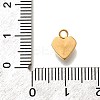 304 Stainless Steel Pave Cubic Zirconia Charms LS-STAS-D310-07G-01-3
