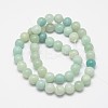 Round Natural Amazonite Bead Strands X-G-I183-02-10mm-2