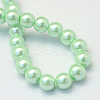 Baking Painted Pearlized Glass Pearl Round Bead Strands X-HY-Q003-6mm-04-3