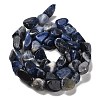 Natural Sodalite Beads Strands G-P497-01E-55-3