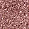MIYUKI Round Rocailles Beads X-SEED-G008-RR0275-4
