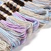 10 Skeins 6-Ply Polyester Embroidery Floss OCOR-K006-A01-2