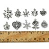 60Pcs 10 Styles Tibetan Style Alloy Pendants FIND-FS0002-30-5