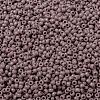 MIYUKI Round Rocailles Beads X-SEED-G008-RR0410-3