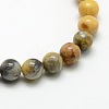 Round Natural Crazy Lace Agate Beads Strands X-G-P058B-01-2
