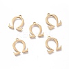 304 Stainless Steel Charms STAS-L263-20G-1