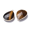 Faceted Natural Tiger Eye Pendants G-M356-A01-LG-2