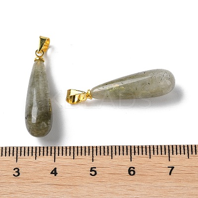 Natural Labradorite Teardrop Pendants X-G-Q005-03G-07-1