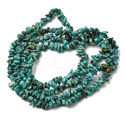 Natural HuBei Turquoise Bead Strands G-H345-A01-09-1