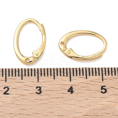 SHEGRACE Brass Leverback Earring Findings XGR0070G-73G-1