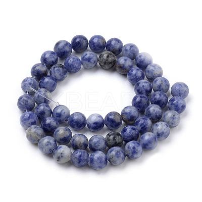 Natural Brazil Blue Spot Jasper Beads Strands G-S259-36-12mm-1