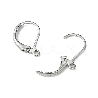 Tarnish Resistant 304 Stainless Steel Leverback Earring Findings LS-STAS-S028-07-1
