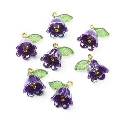 Opaque Resin Pendants LS-CRES-CJC0009-05G-07-1