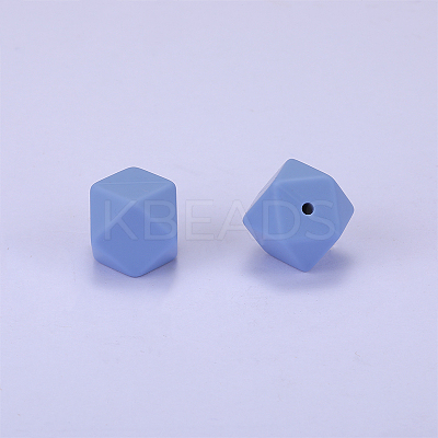 Hexagonal Silicone Focal Beads SI-JX0020A-49-1
