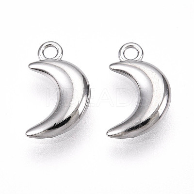 304 Stainless Steel Charms STAS-N109-138P-1