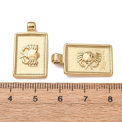 304 Stainless Steel Pendants STAS-C184-11G-11-1