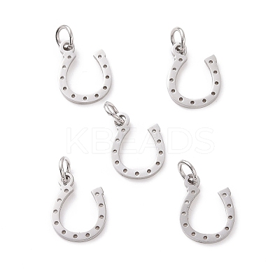 Tarnish Resistant 304 Stainless Steel Charms STAS-S105-T519S-1