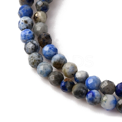 Natural Lapis Lazuli Beads Strands LS-G-L629-B01-2mm-03-1