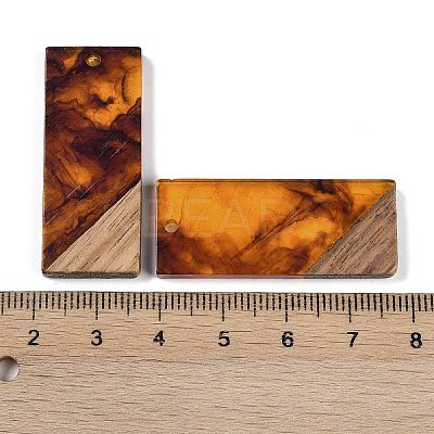 Resin & Wood Pendants WOOD-F015-09A-1