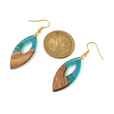 Two Tone Resin & Walnut Wood Horse Eye Dangle Earrings EJEW-JE05504-1