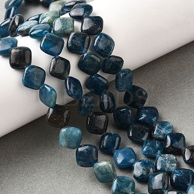 Natural Apatite Beads Strands G-Q026-D01-01-1
