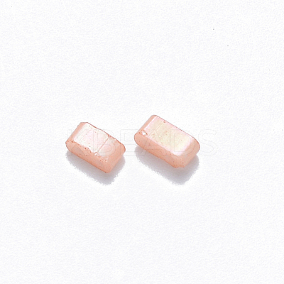 FGB 2-Hole Baking Paint Glass Seed Beads SEED-S031-M-596-1