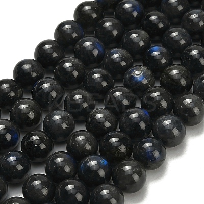 Natural Black Labradorite Beads Strands G-L642-B15-12mm-1