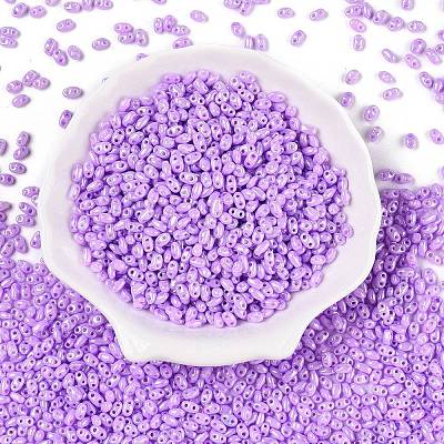 Opaque Colours Luster Glass Seed Beads SEED-T006-02D-1