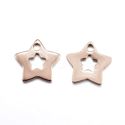 Ion Plating(IP) 304 Stainless Steel Charms LS-STAS-D167-12RG-1