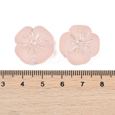Frosted Transparent Acrylic Beads OACR-P029-19B-02-1