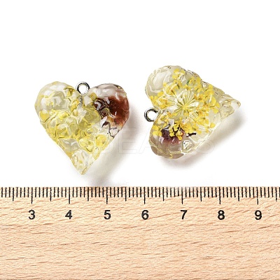 Inner Dried Flower Transparent Resin Pendants RESI-A043-03B-1