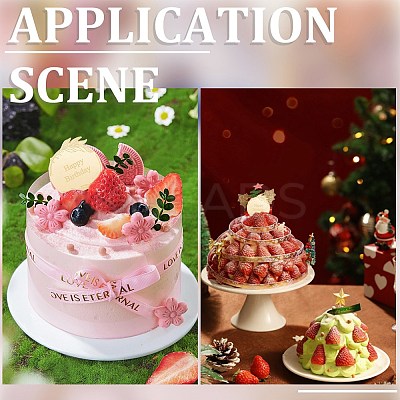 21Pcs Birthday Theme Mirror Effect Acrylic Birthday Cupcake Insert Card Decoration AJEW-SP0001-75-1